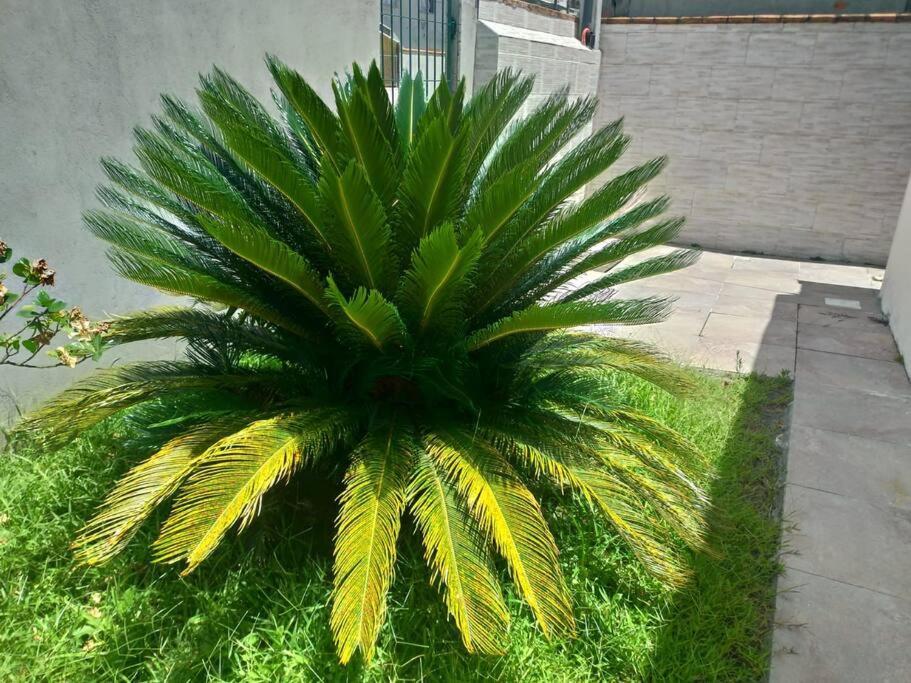 Casa Agradavel Em Camboriu Com Estacionamento No Patio Villa ภายนอก รูปภาพ